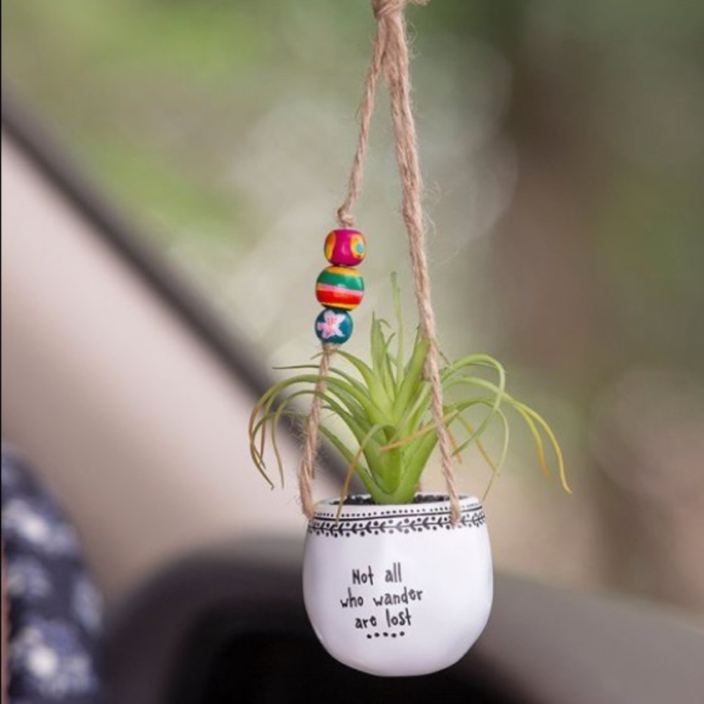 Natural Life Rear View Car Hanging Succulent